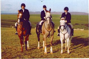 PENTATHLON TEAM TRAINING HORSES - Mouse Berry